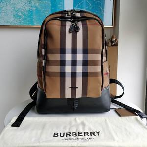 Burberry Handbags 165